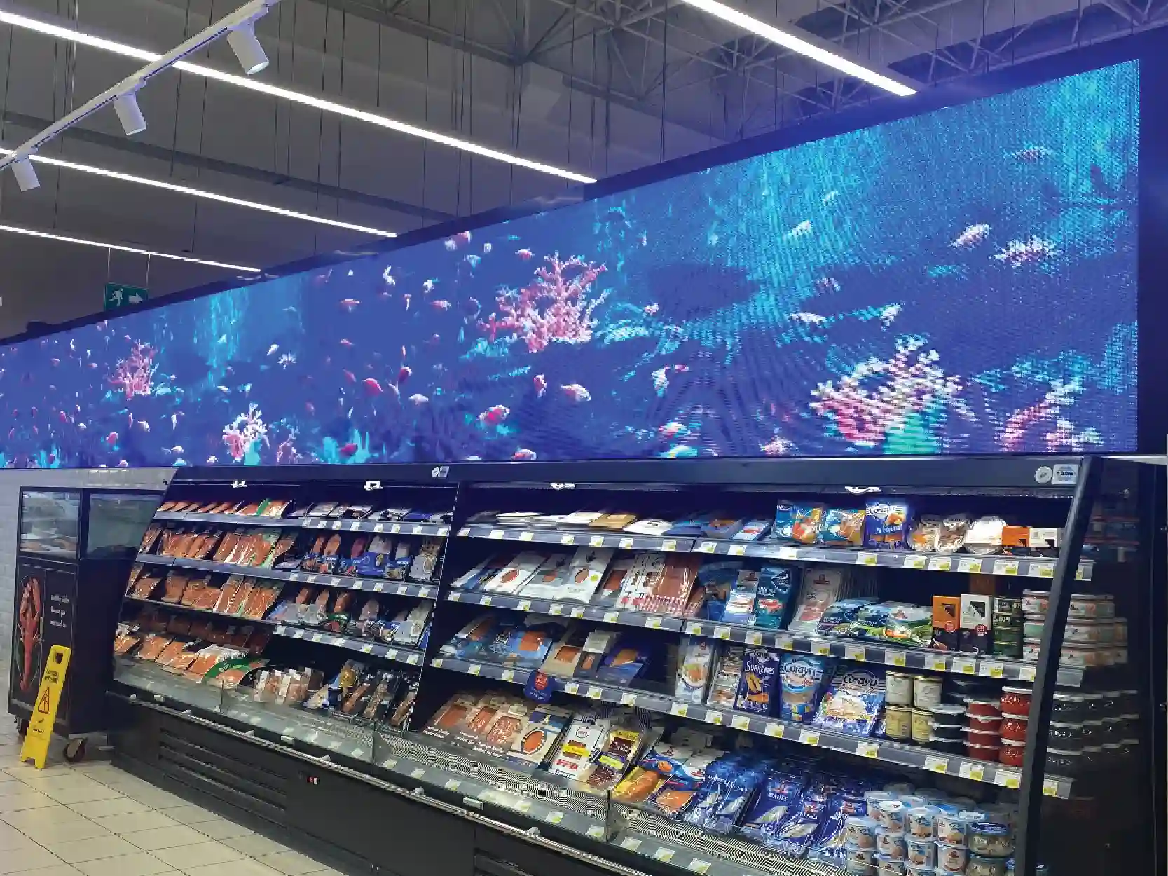 P4 Indoor LED Screen - Dubai, UAE